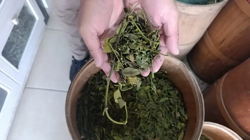 Kanser vakalarının yüksek olduğu Ağrı'da doğal ürünlere yönelim arttı