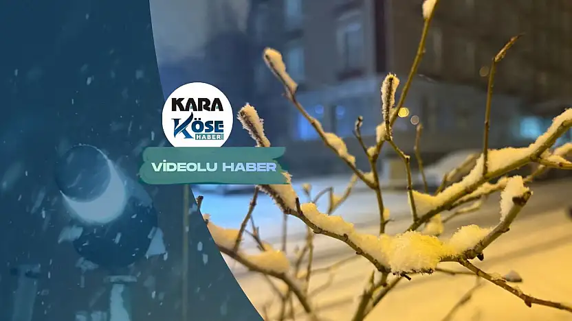 Kar yağışı Ağrı'yı etkisi altına aldı