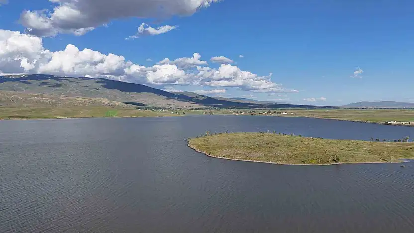 Patnos Barajı'nda balık krizi: Sazanlar yok oluyor