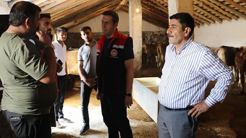 Patnos'ta şap aşısı çalışmaları köy köy sürüyor
