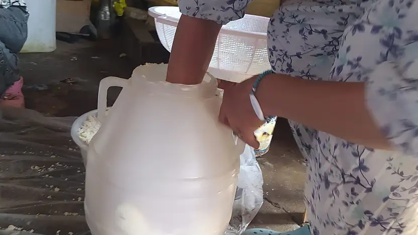 Patnos'ta yüzyılların geleneği: Kuma gömülen küp peyniri sofraları süslüyor