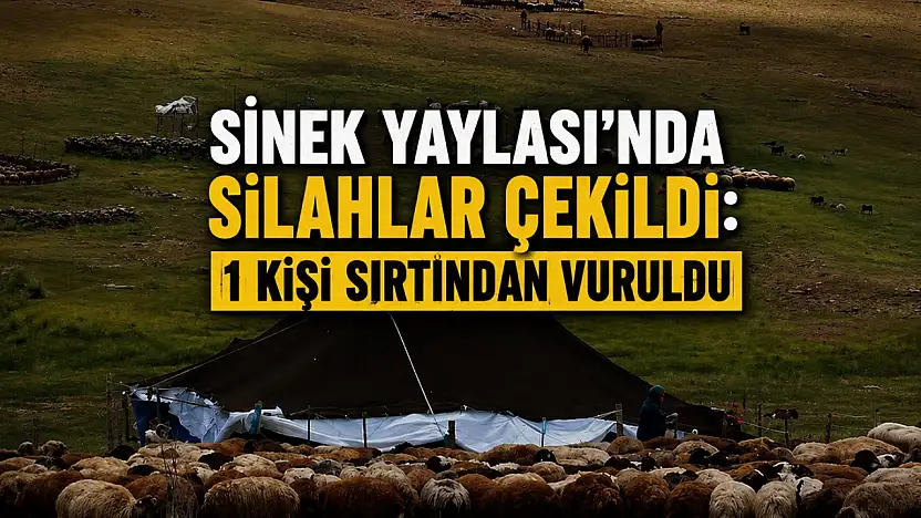 Sinek Yaylası'nda koyun pazarlığı silahlı kavgaya dönüştü: 1 yaralı