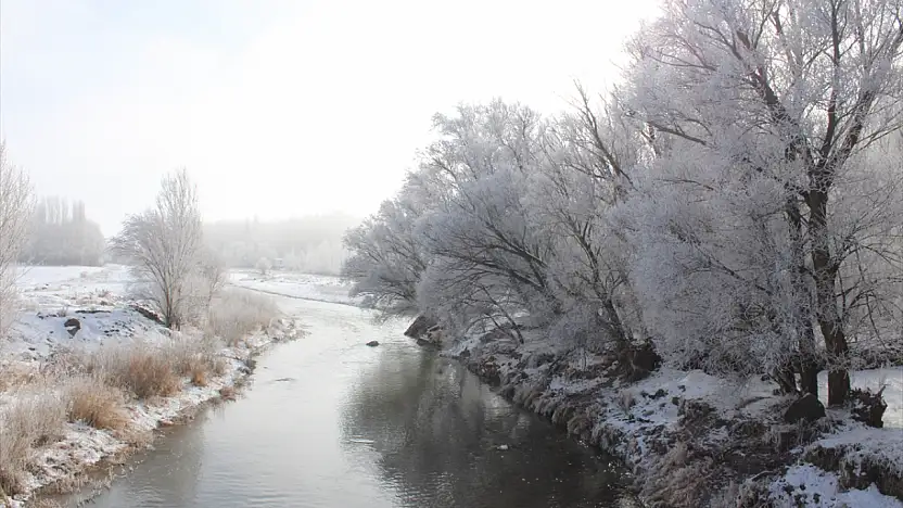 Taşlıçay beyaza büründü, kırağı tutan ağaçlar göz kamaştırdı