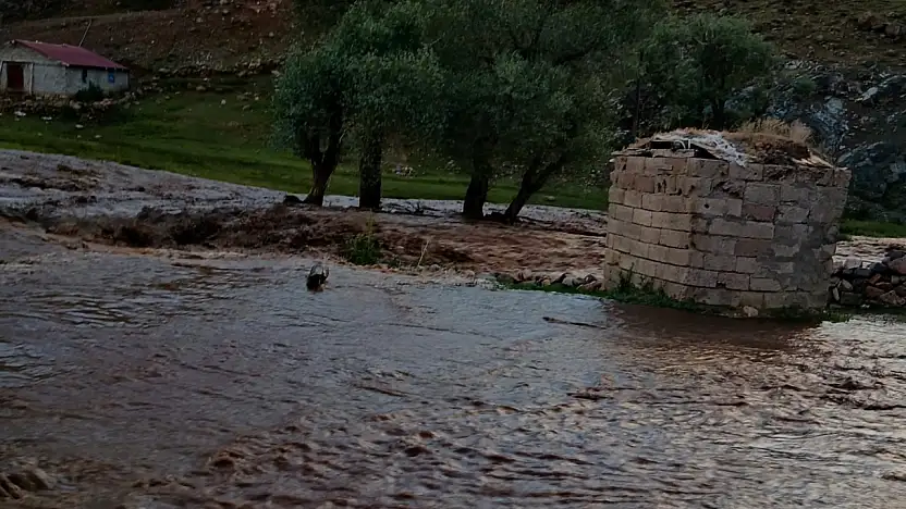 Tekman'ı sel ve kasırga vurdu!