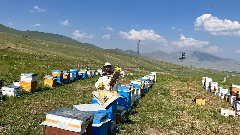 Türkiye'nin çatısında şifalı bal mesaisi başladı
