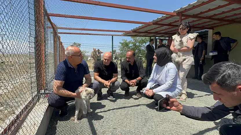 Vali Koç, Doğubayazıt hayvan barınağında: Modern tesis yerinde incelendi
