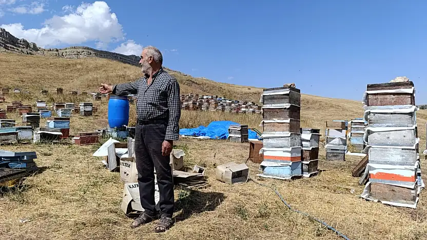 Yoldüzü Köyü'nde 40 yıllık arıcılık deneyimi