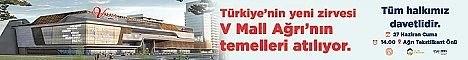 V mall ağrı